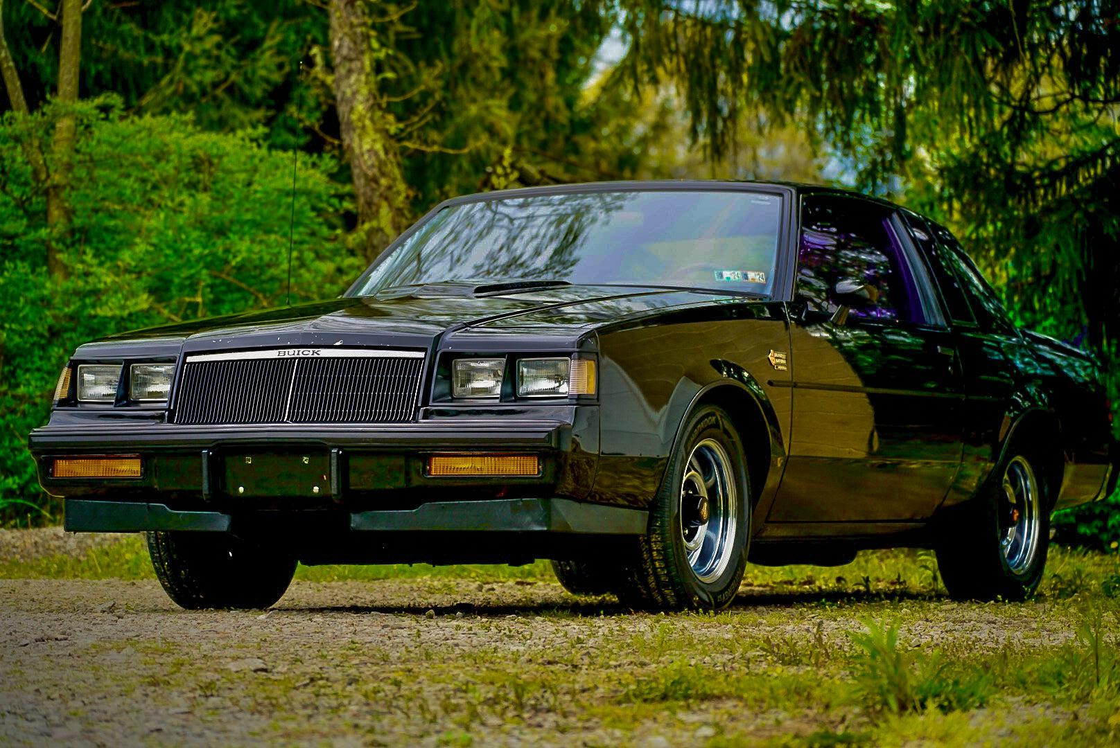 1-Step Paint Correction